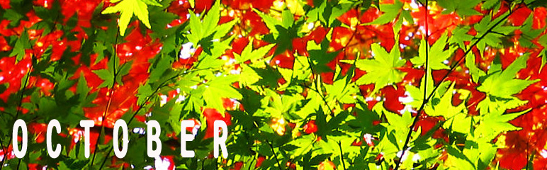 �V�����摜